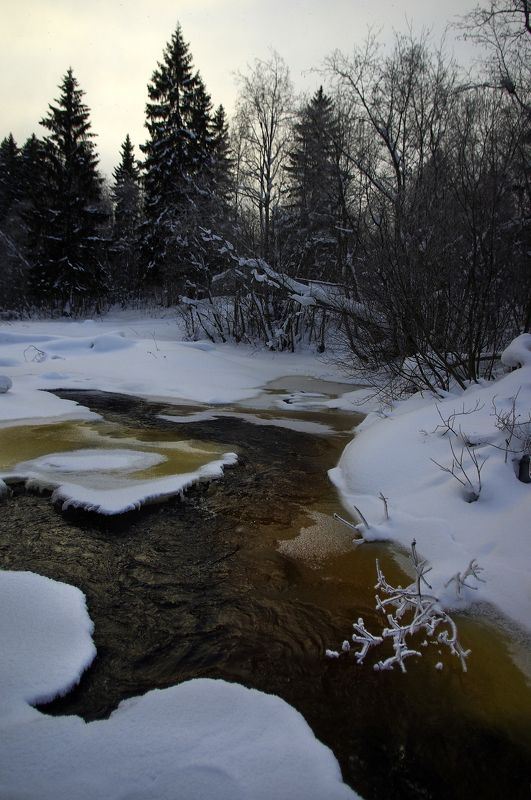 карелия На берегу реки фото превью