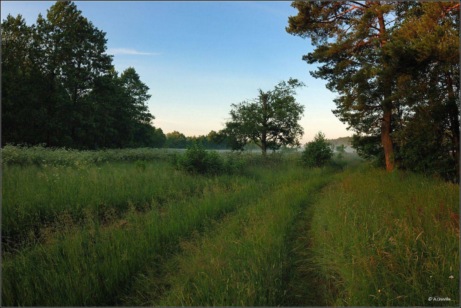 утро,рассвет,туман, Александр Чувилин