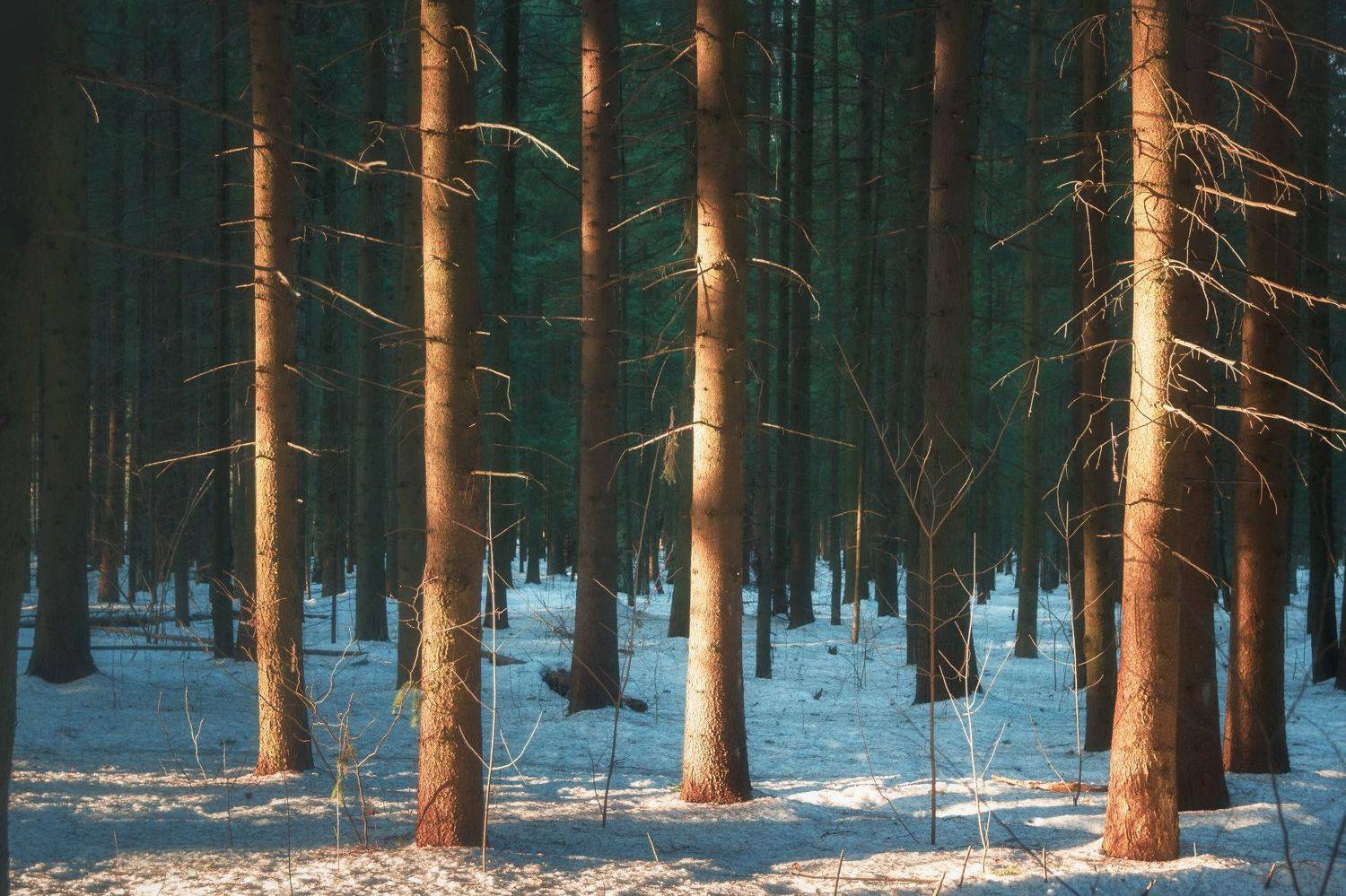 , Котов Андрей