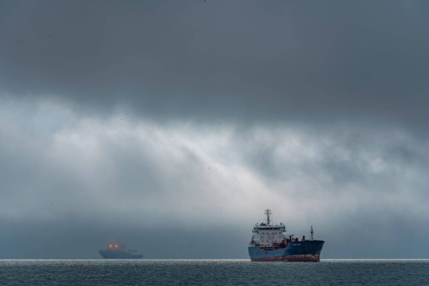 владивосток, мост, корабли, приморье, город, дальний восток, японское море, море, Полякова Наталия