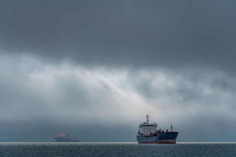 владивосток, мост, корабли, приморье, город, дальний восток, японское море, море Он не с нашего порта! фото превью