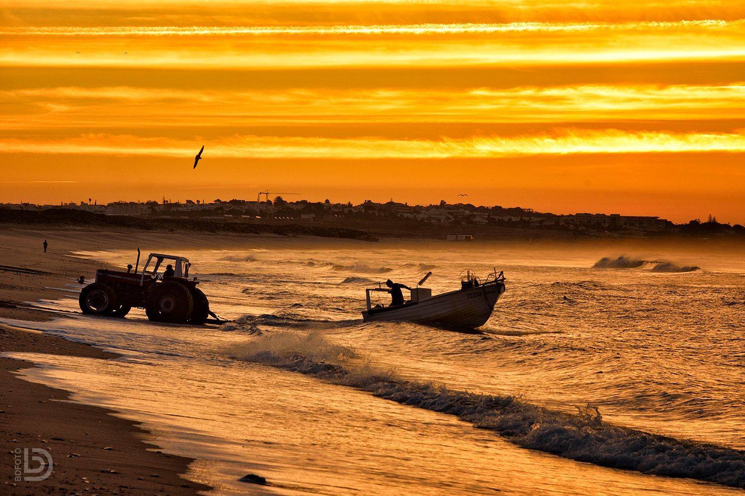 , Дмитрий Бакулин