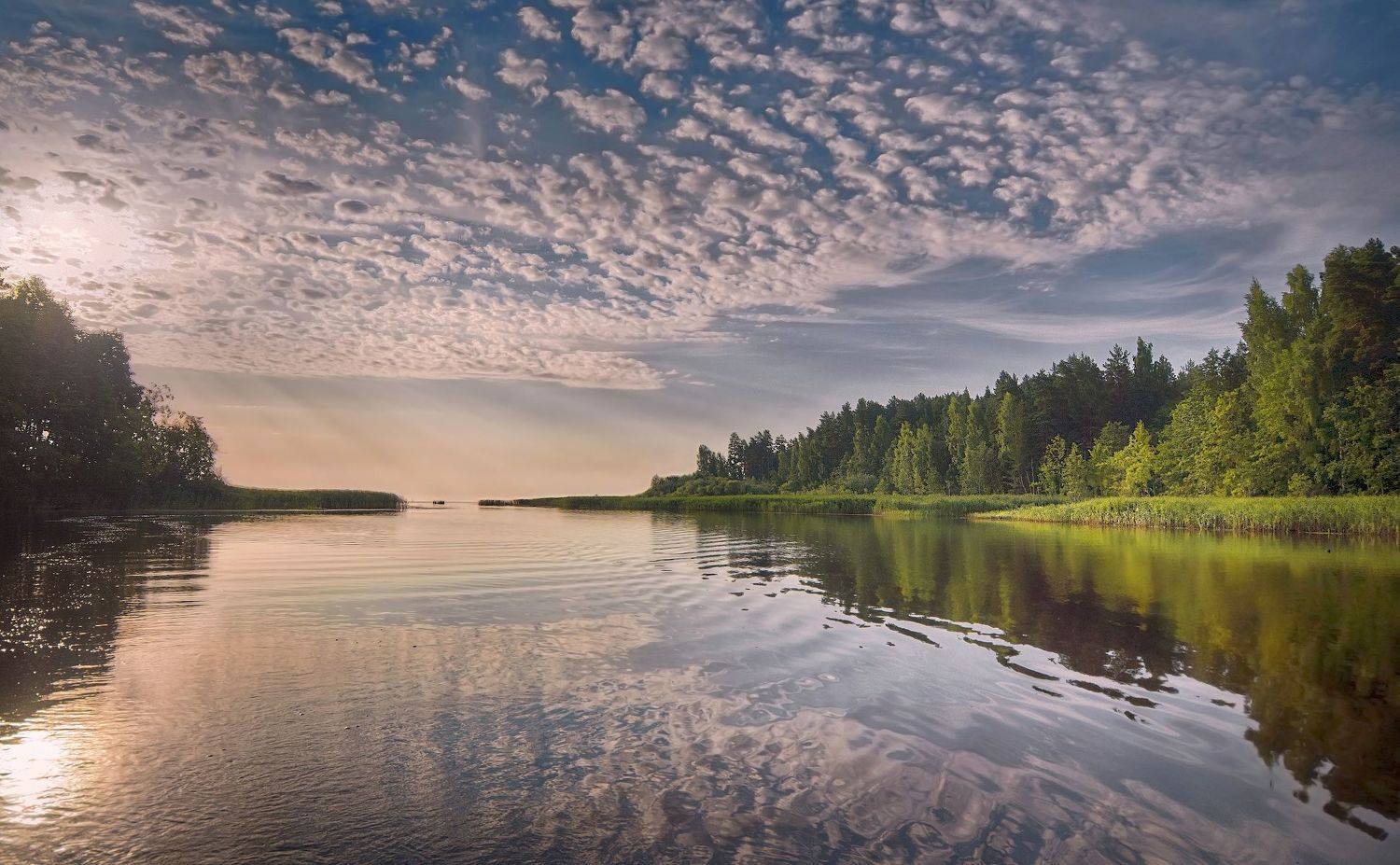 лето, река, утро , лес, Сергей Аникин