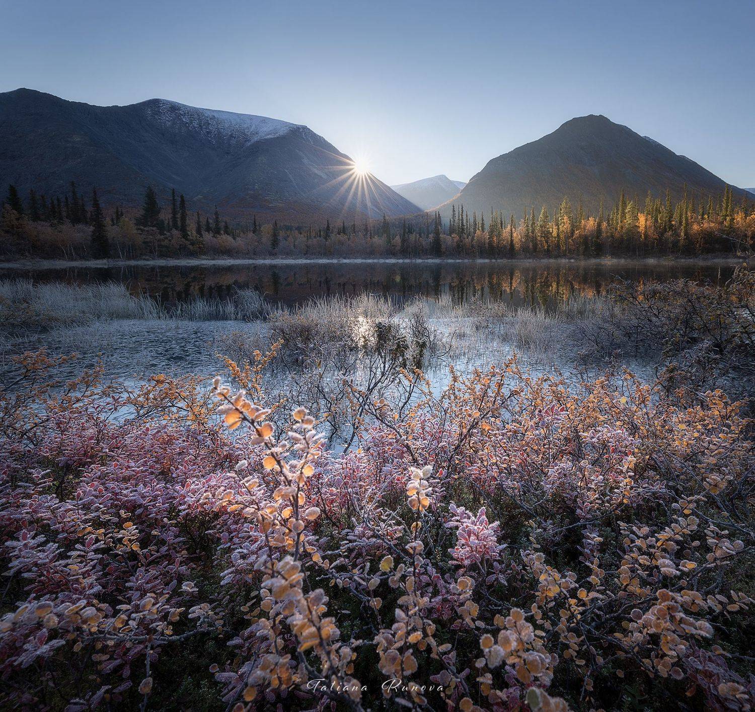 , Рунова Татьяна