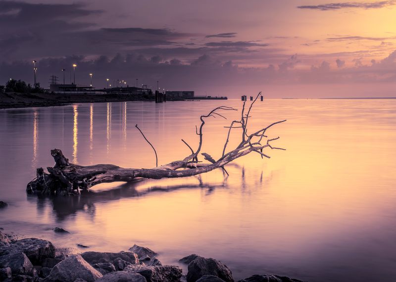 Ночные вибрации фото превью