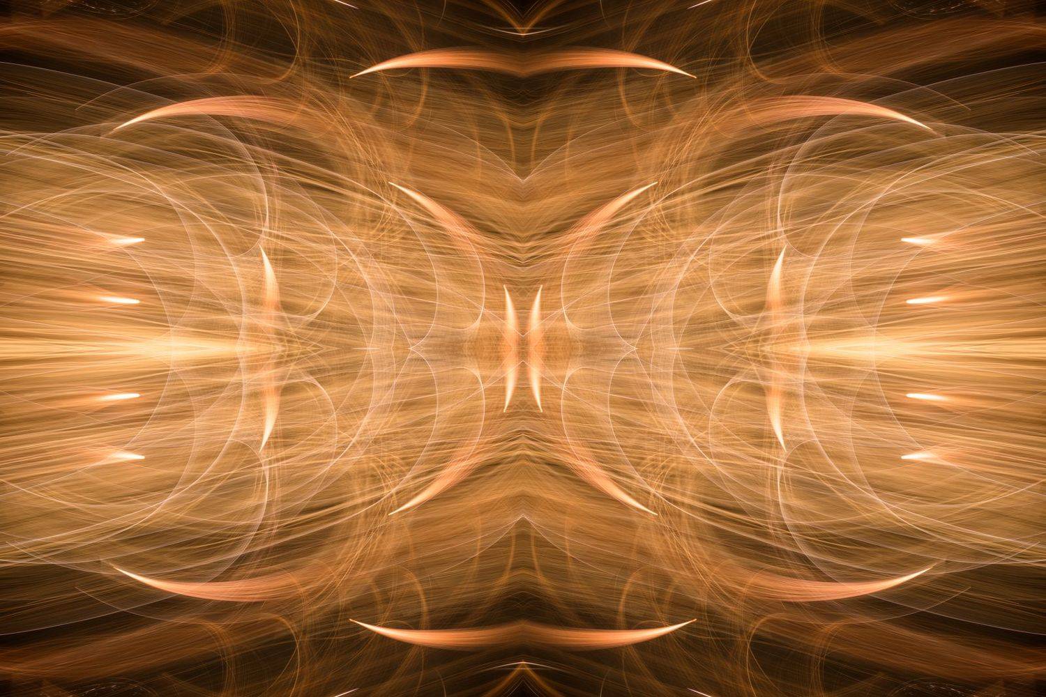 Phoenix,, Shota.Nagase