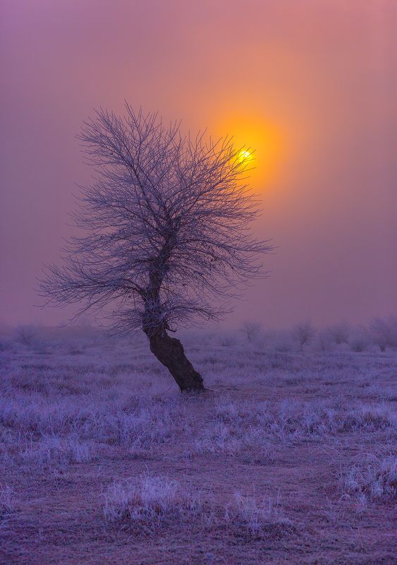 .... фото превью