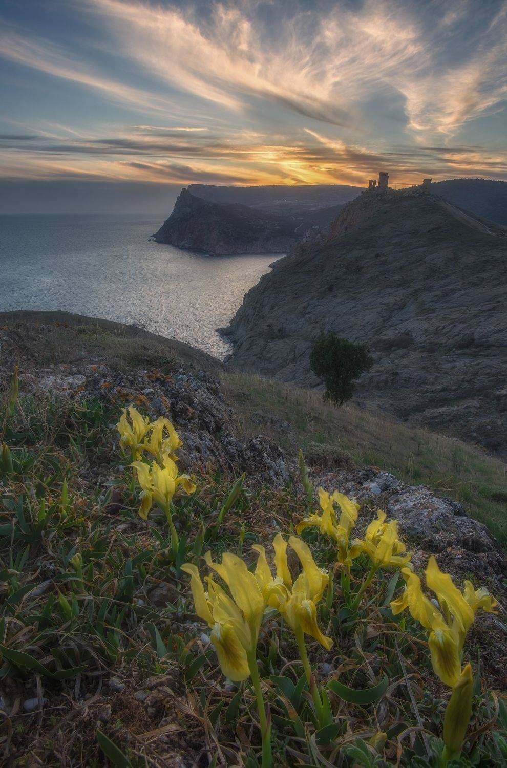 крым, балаклава, весна, пейзаж, природа, цветы, ирисы, закат, crimea, landscape, севастополь, Дмитренко Екатерина