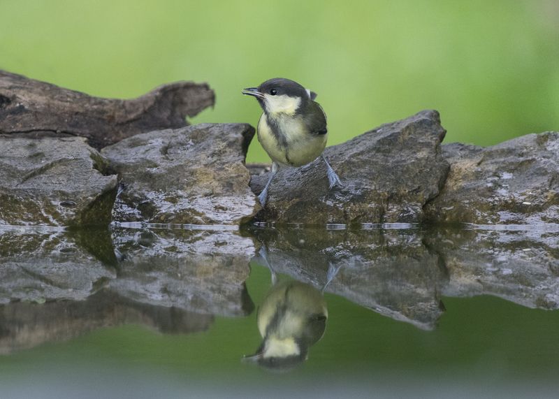 Зеркало фото превью