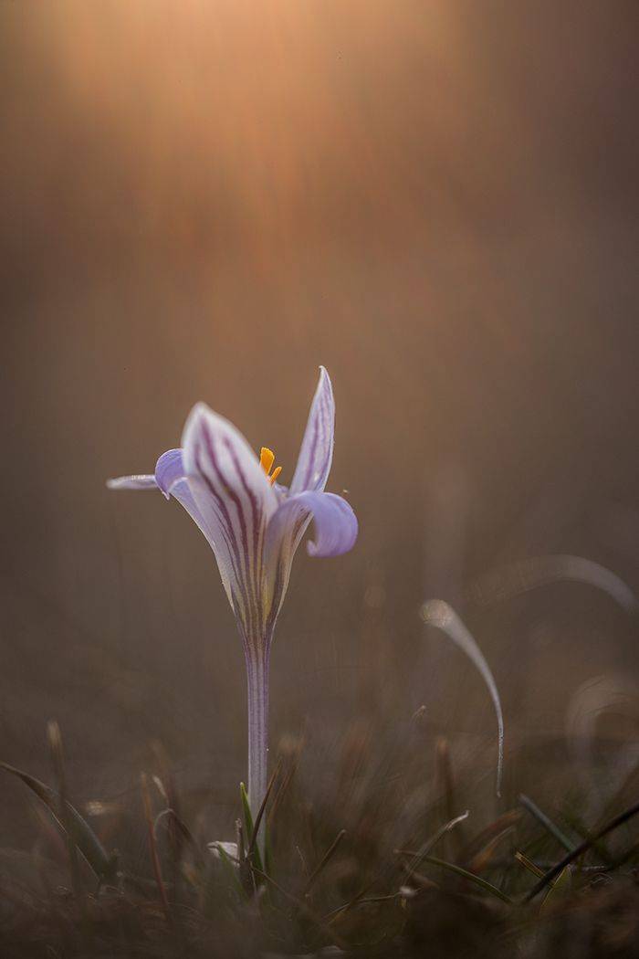 , Илья Михеев