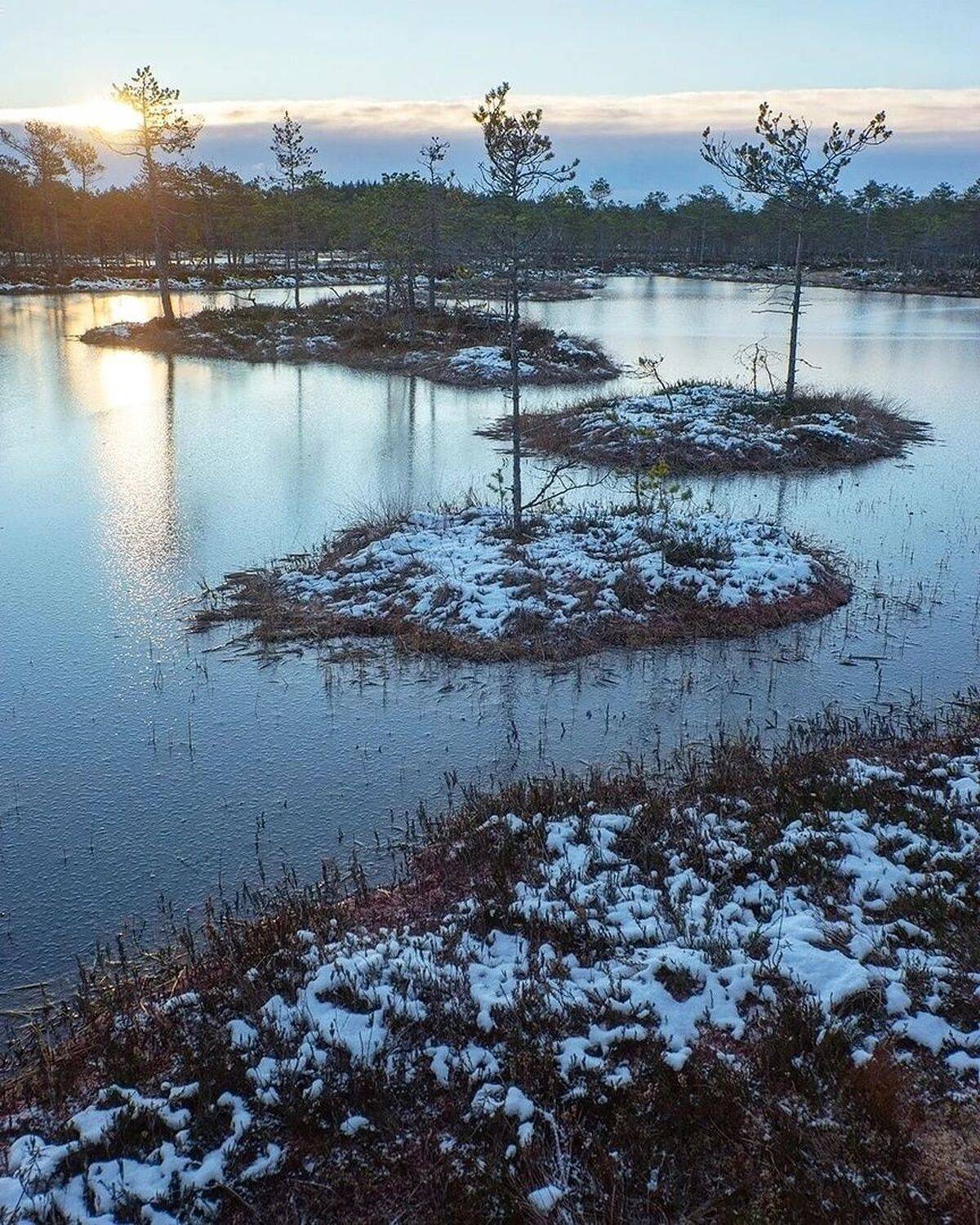 , Петр Косых