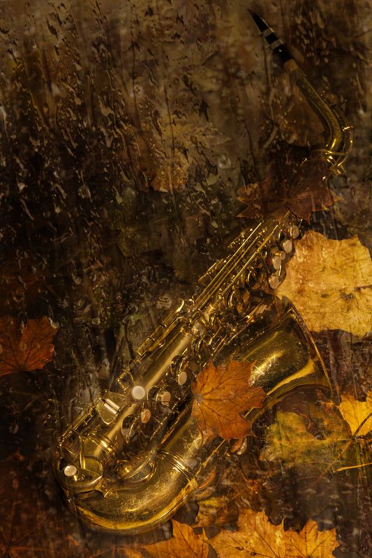 Листья желтые по городу кружатся фото превью