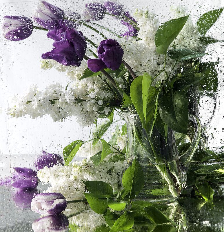 Белая сирень и тюльпаны фото превью