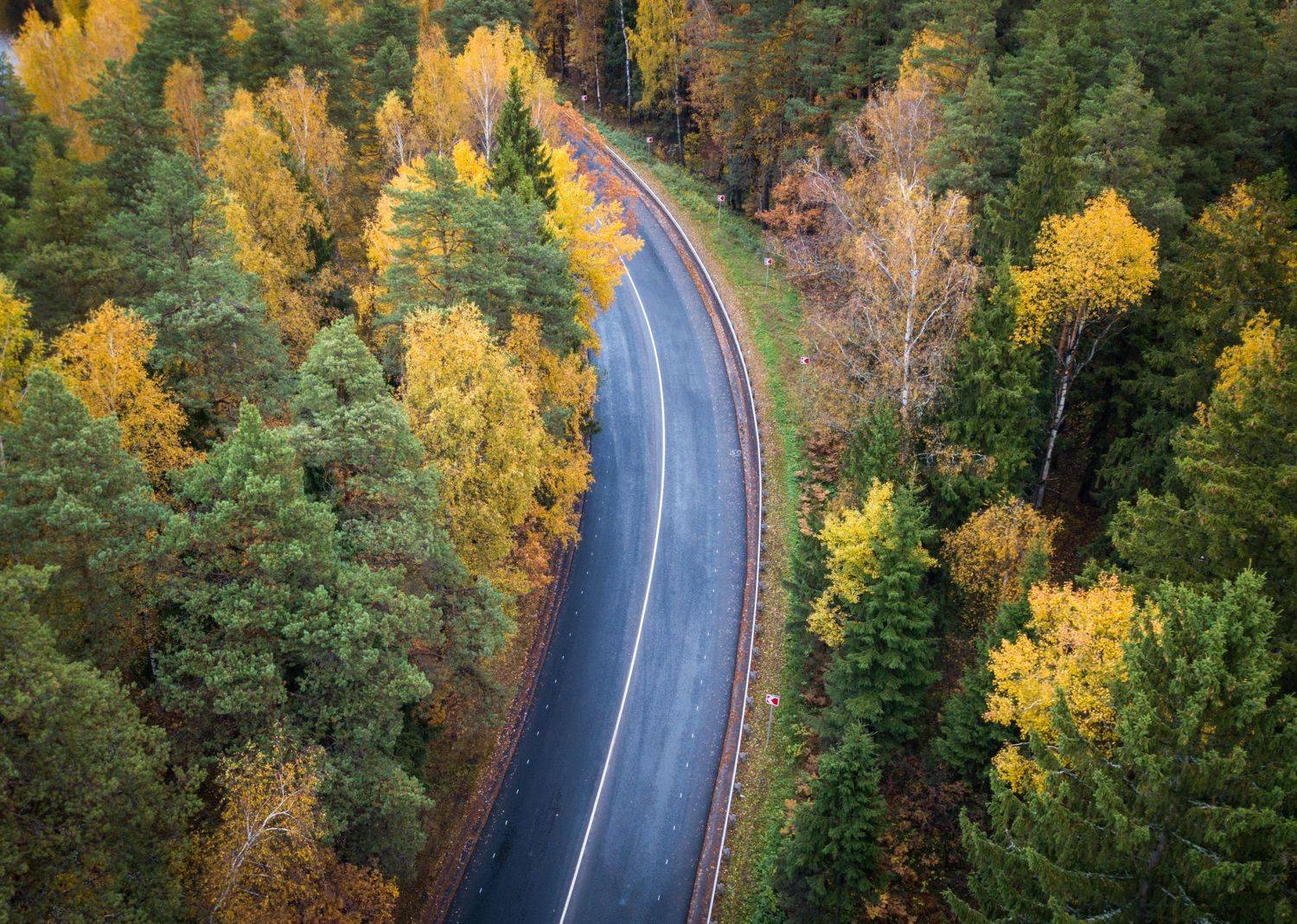 , Сергей Фаренюк