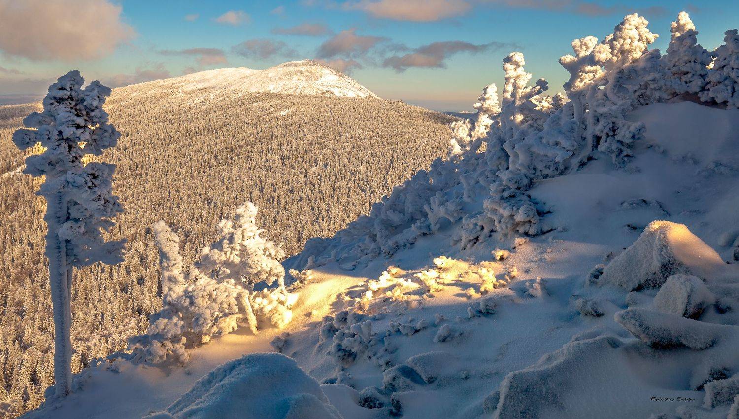 , Евдокимов Сергей