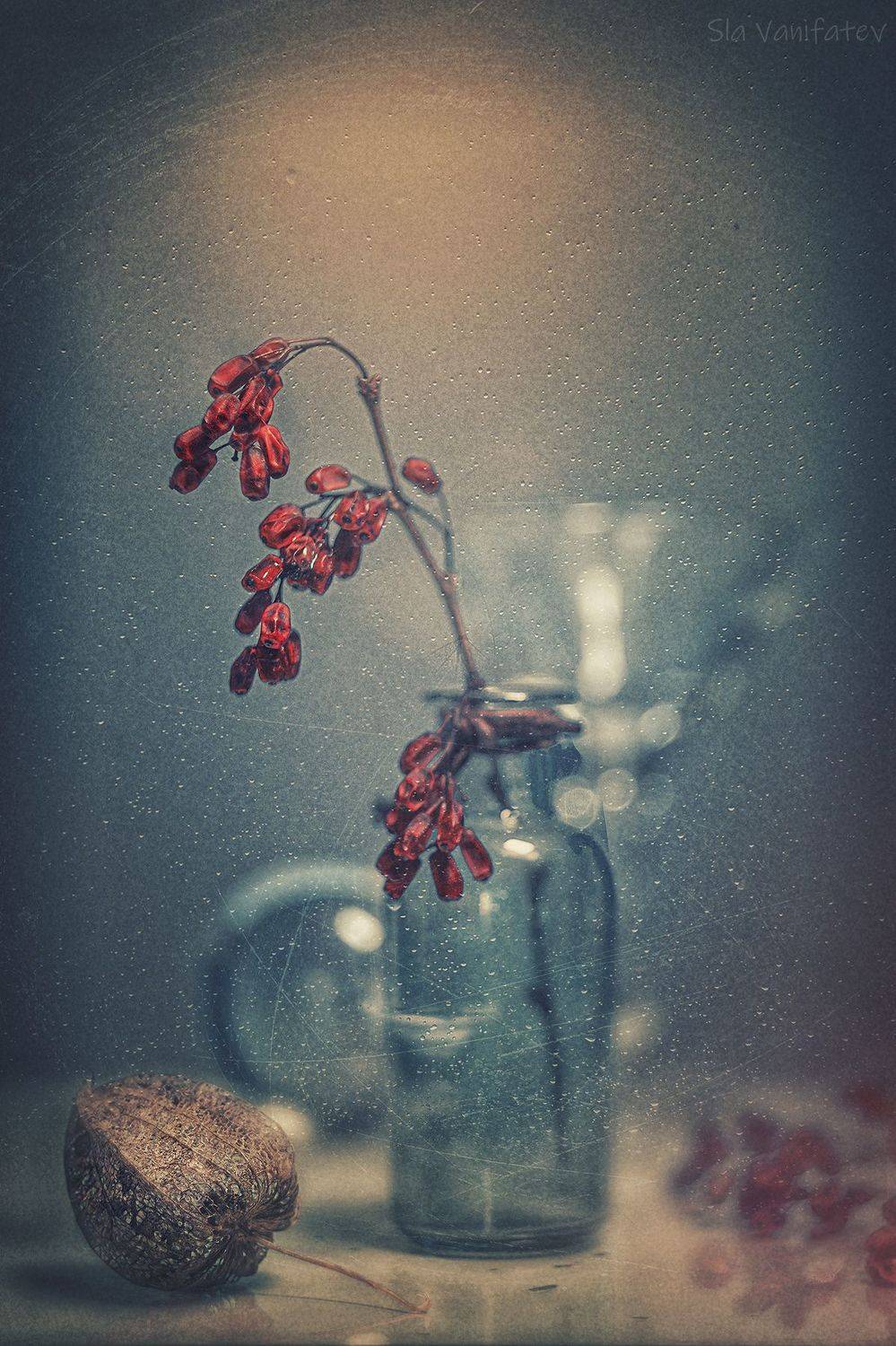 , Вячеслав Ванифатьев