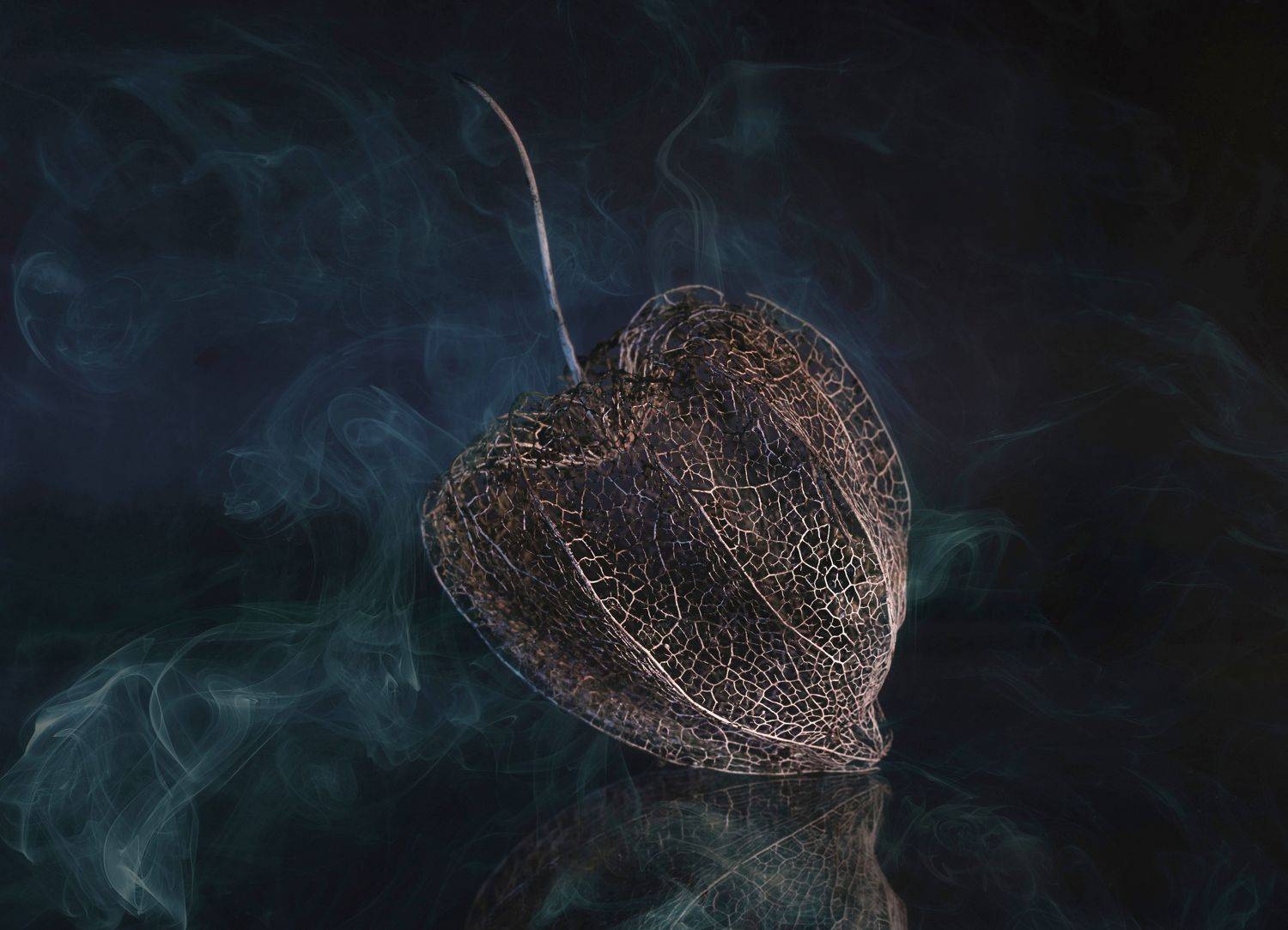 , Мария Обидина