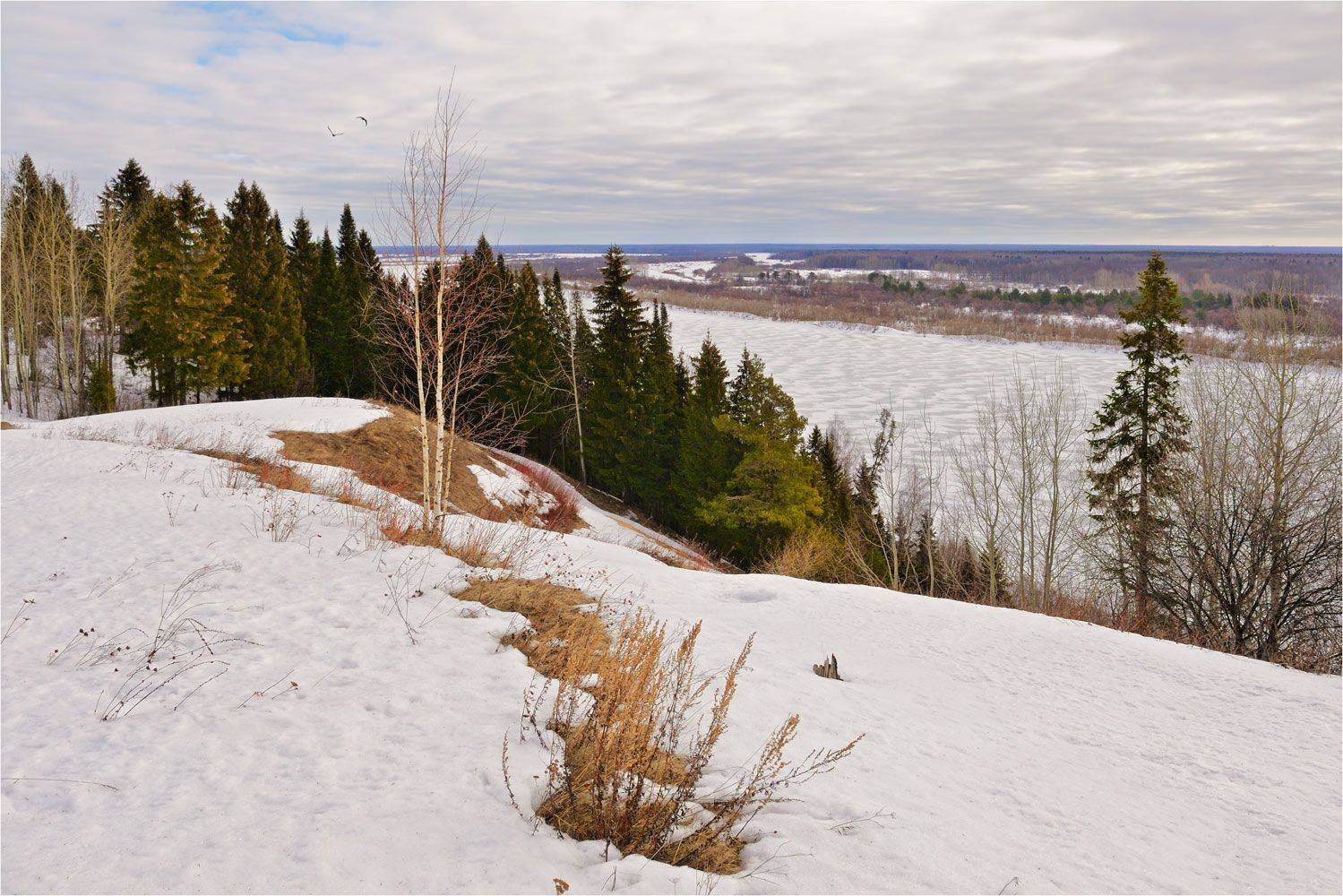 , Анатолий Гулин