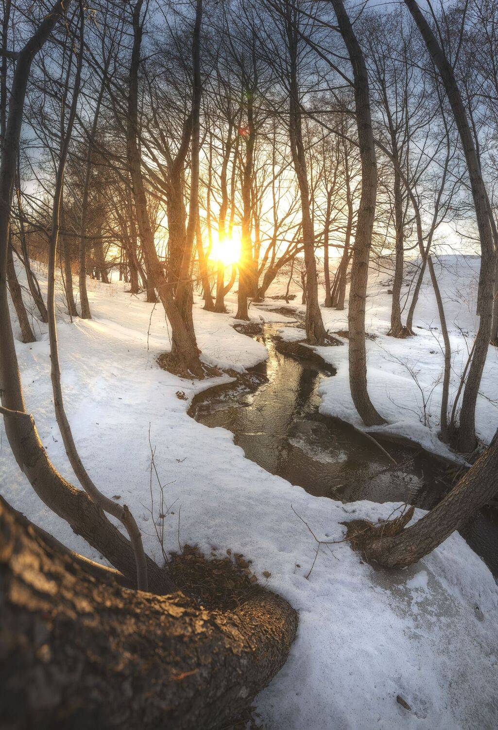 , Антонов Антон