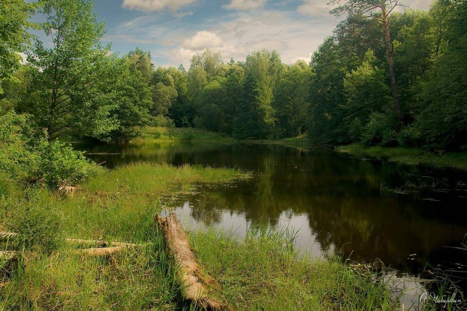 Лето, озеро, лес, Александр Чибиркин