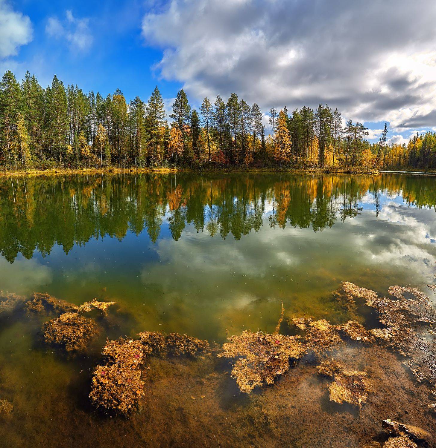 пейзаж, 17-40, коми, ухта, озеро, тайга, Lisauskas Ilya