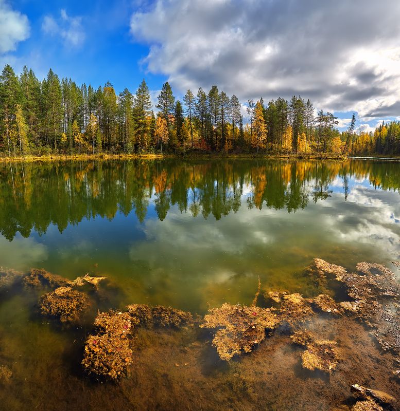 пейзаж, 17-40, коми, ухта, озеро, тайга Параськины озера фото превью