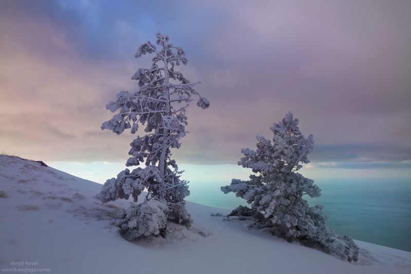 дмитр коваль, гималаи вне треков, пейзаж как просветление Просветление в Пейзажах... фото превью