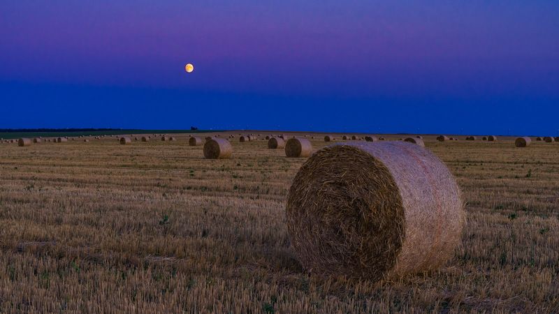 Лунные сумерки фото превью