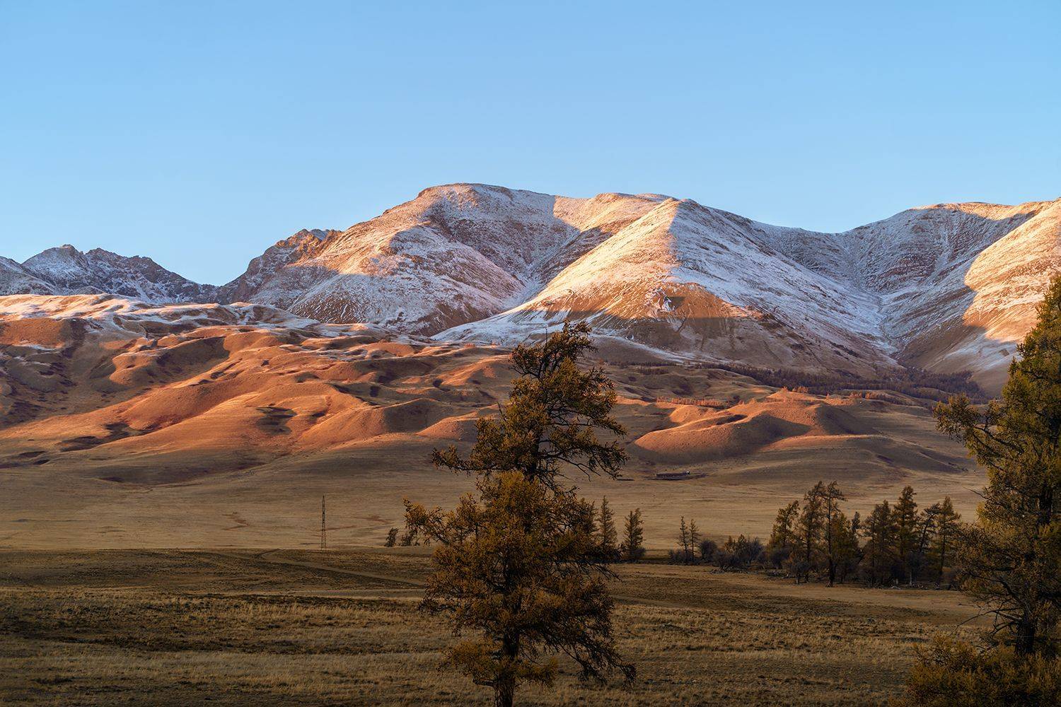 , Лариса Николаевна Дука