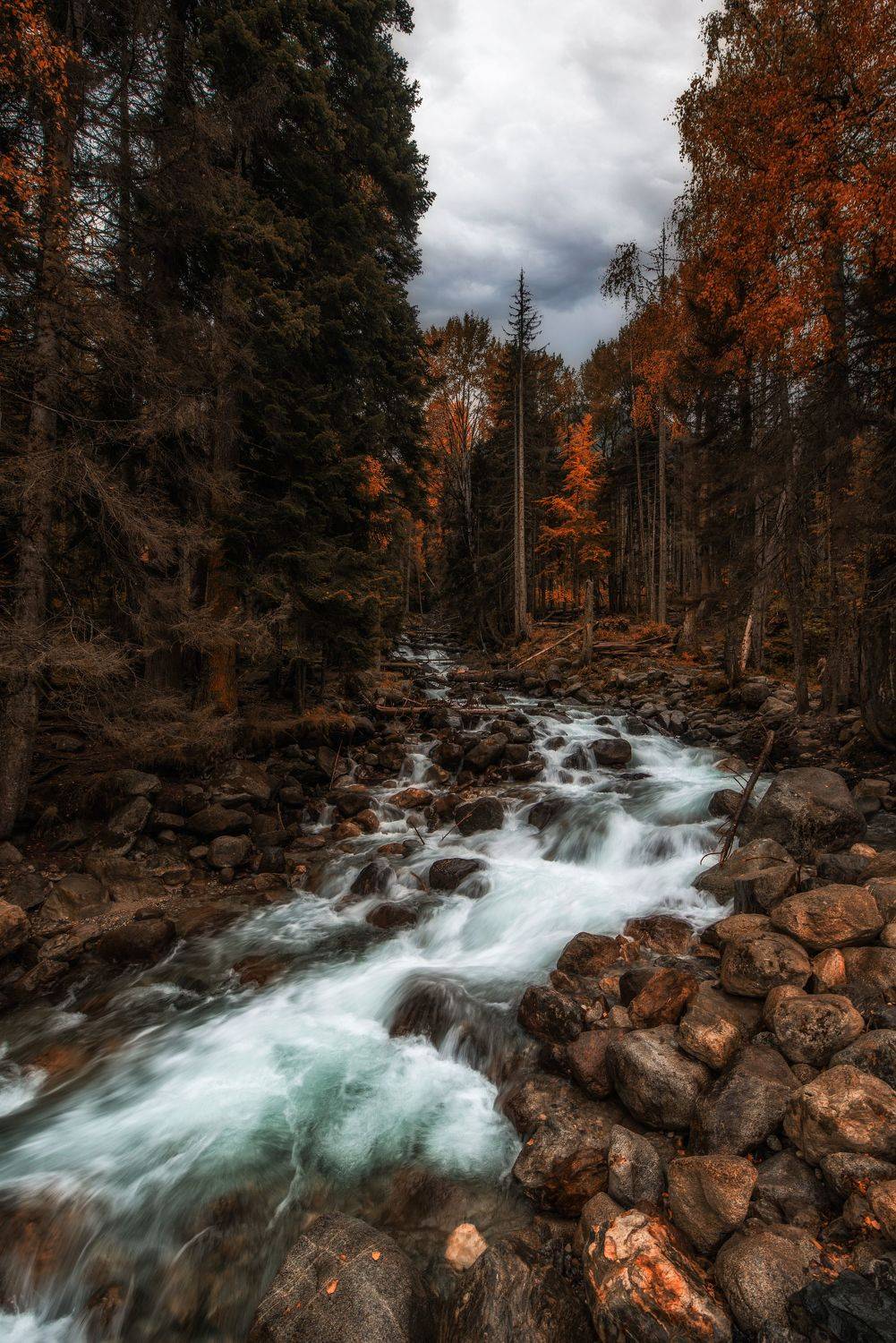 река, вода, осень, лес, домбай, горы, деревья, камни, Дмитрий Величко