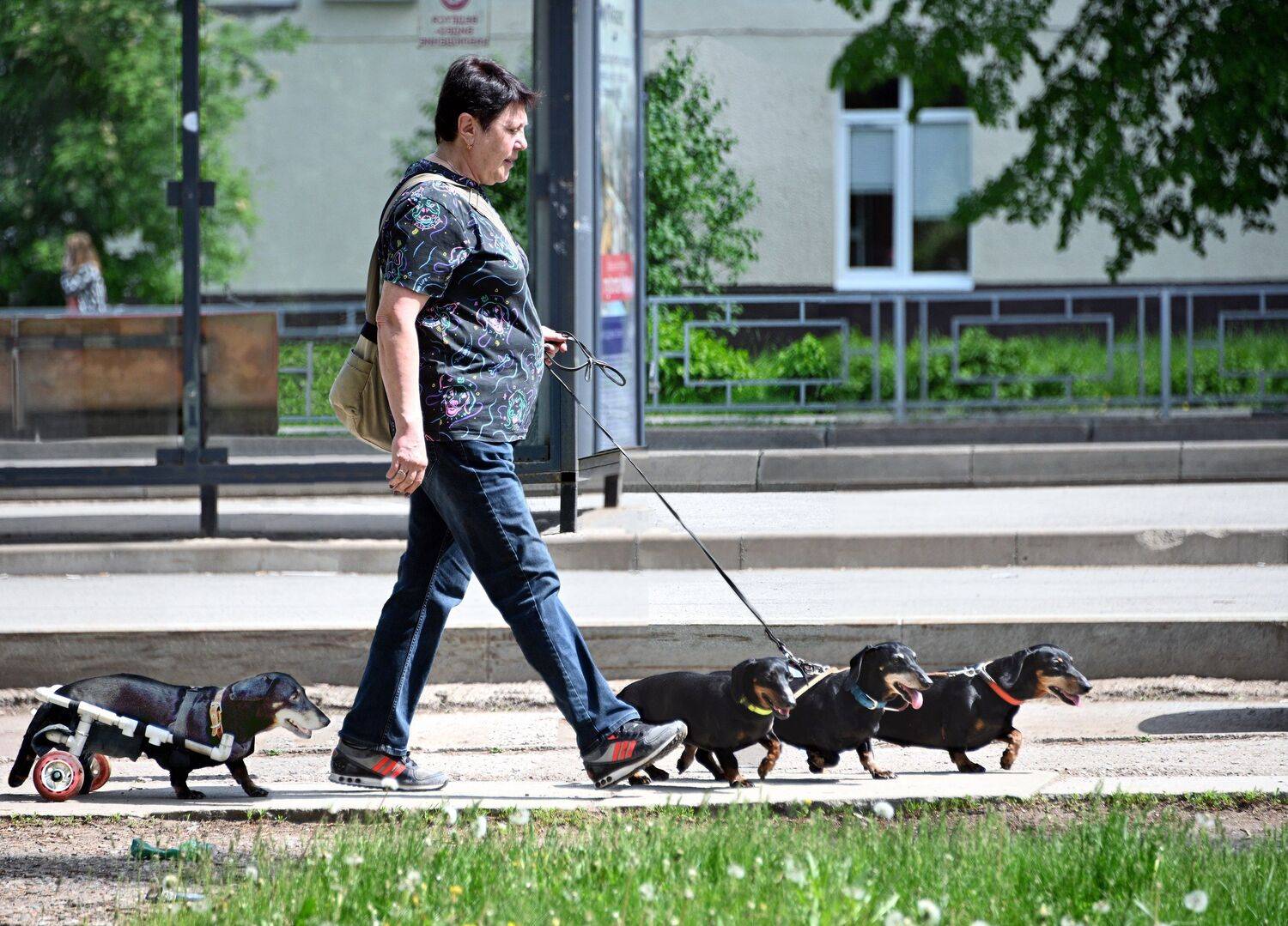 , Меднов Влад