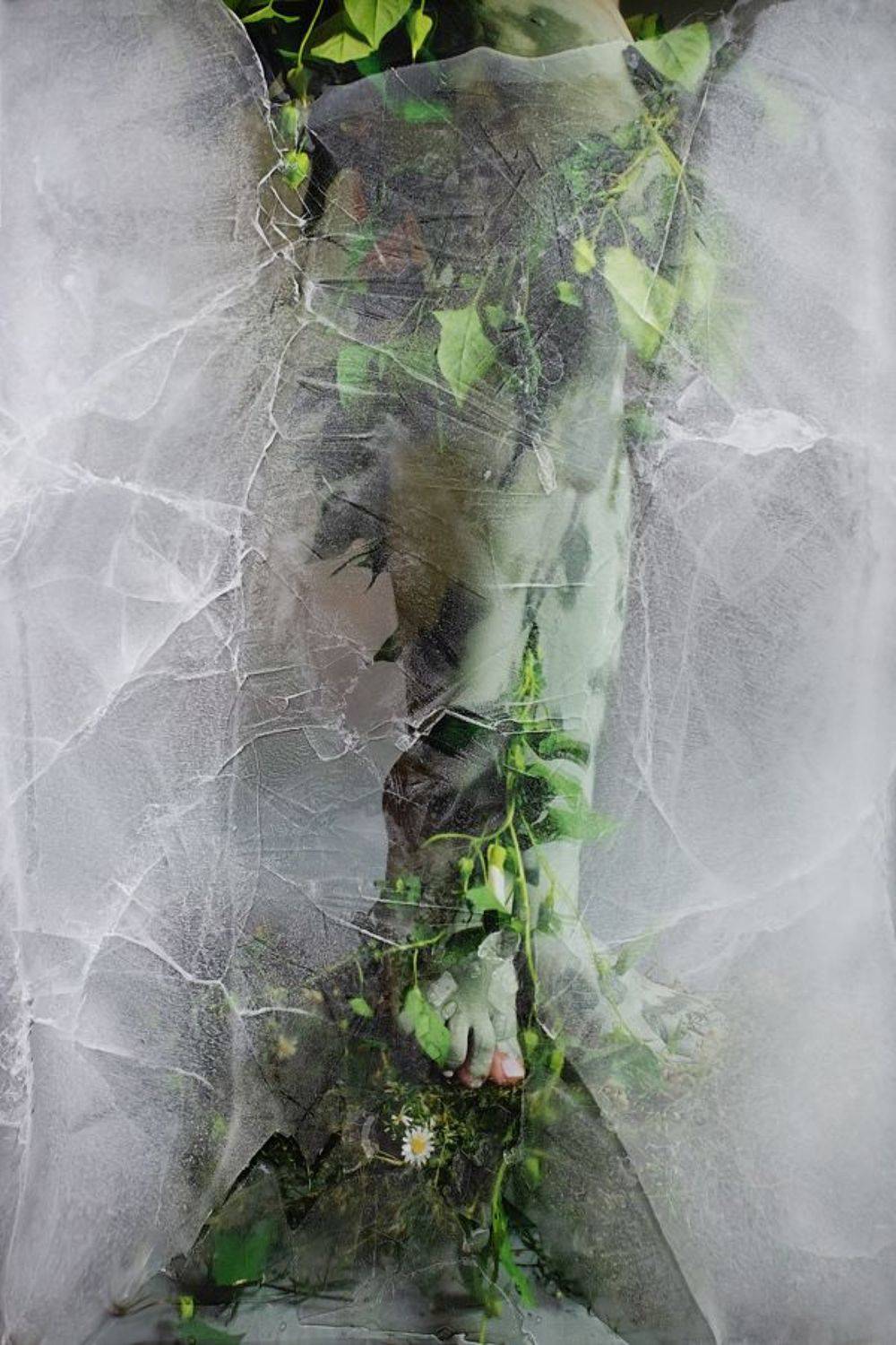 , Лебедева Ольга