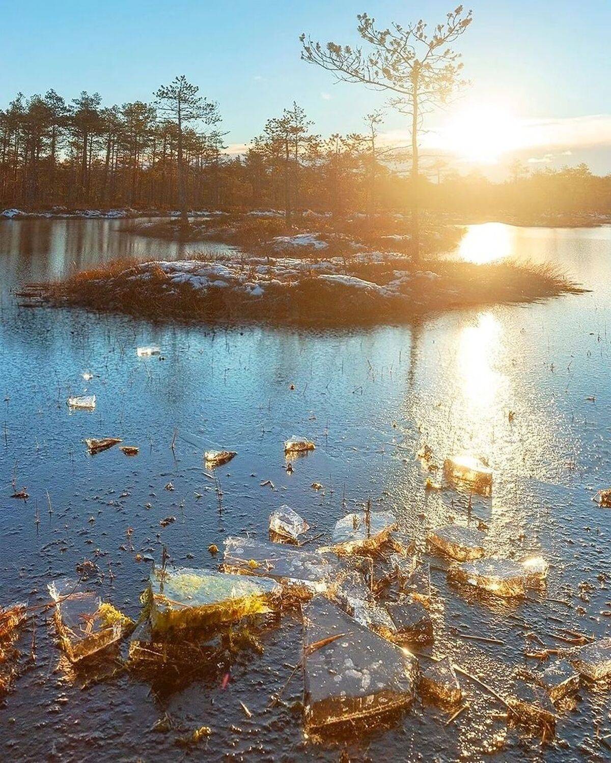 , Петр Косых