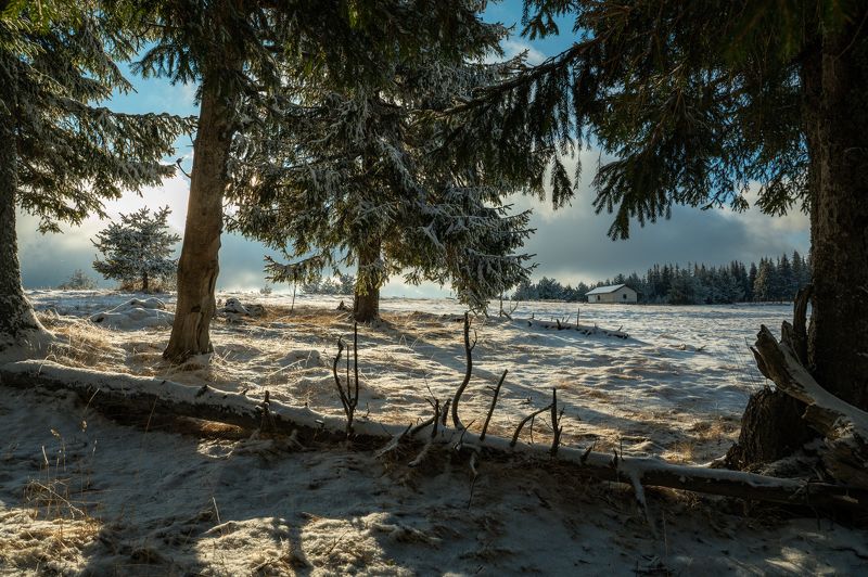 Winter is coming фото превью