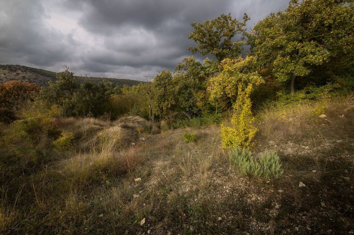 крым, осень,, Черкасов Сергей