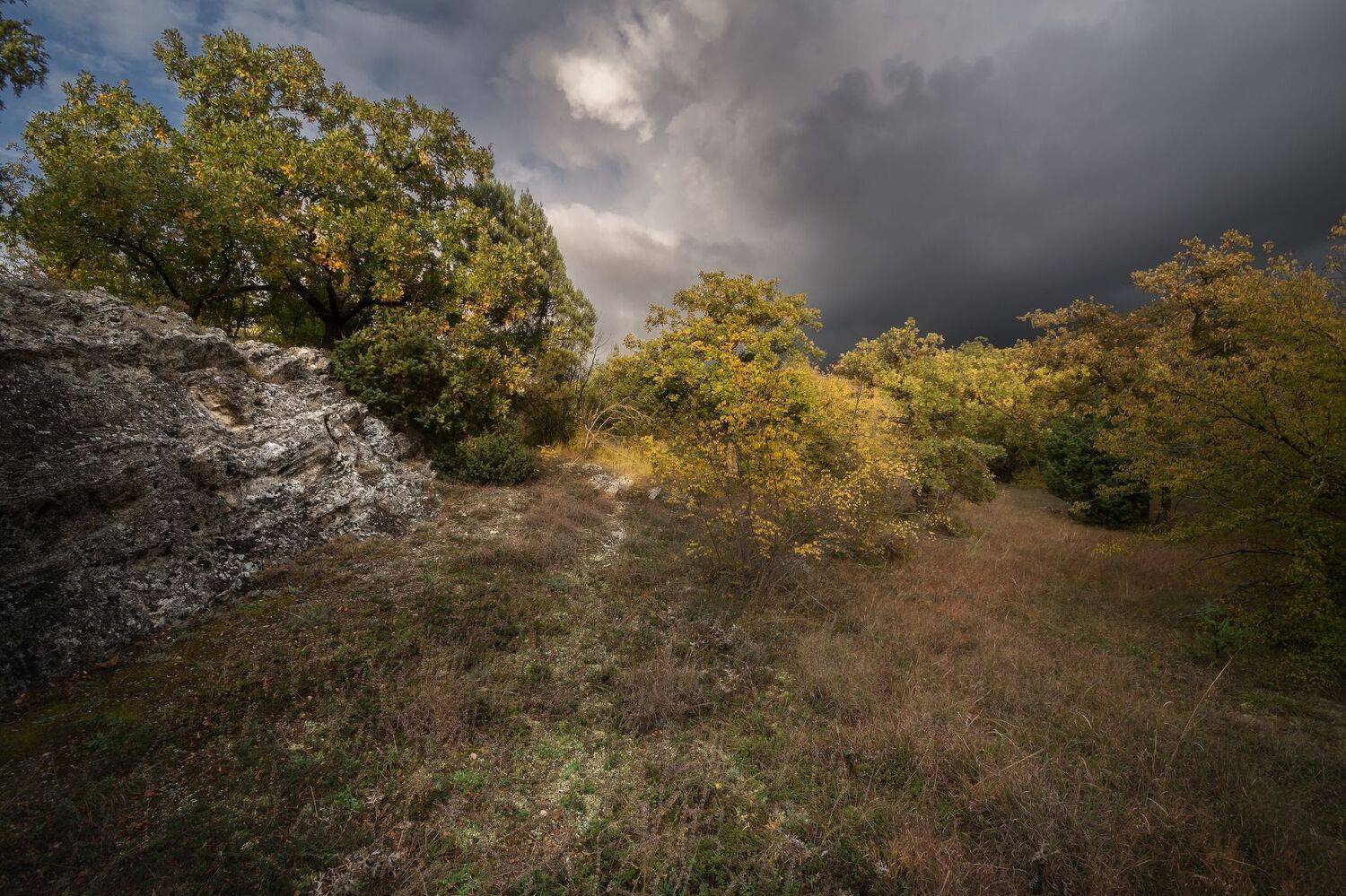 крым, осень,, Черкасов Сергей