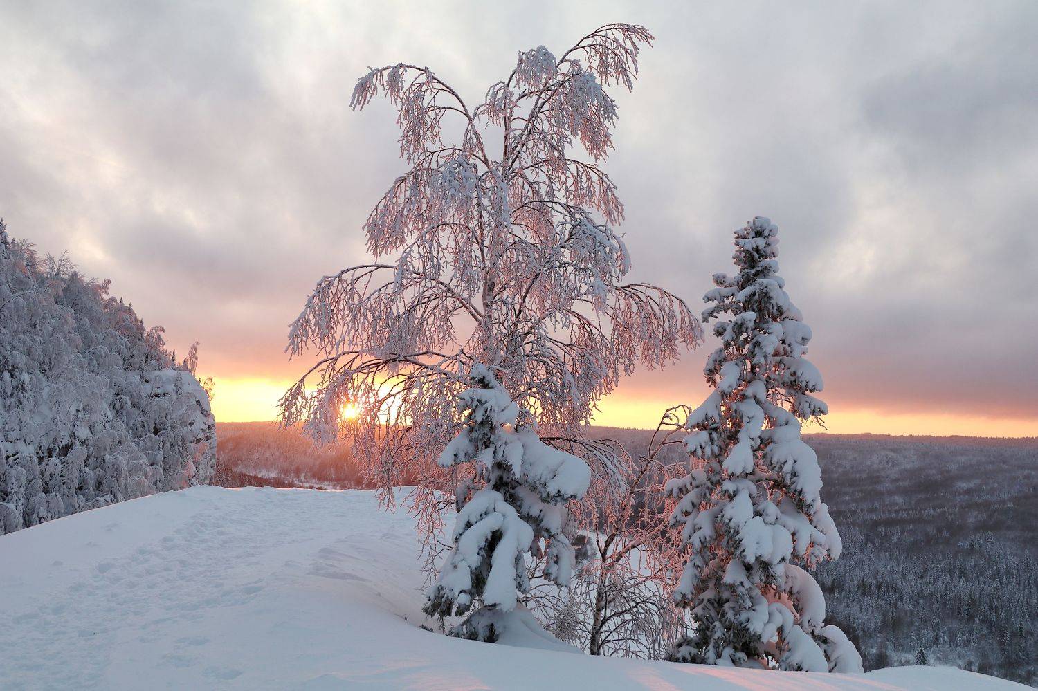 , Добролюбова Тамара