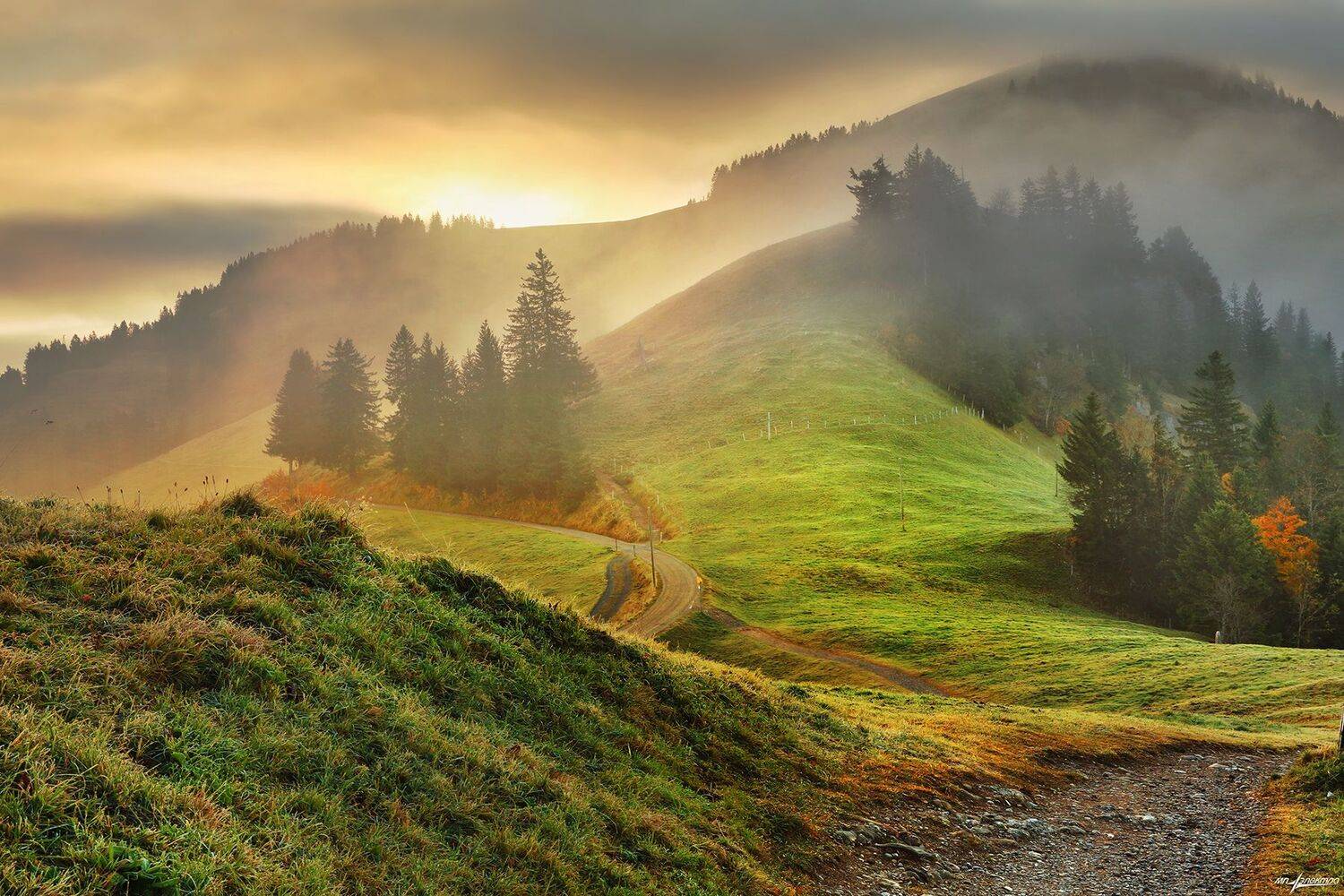 swiss,швейцария,осень,rigi, Николай Матвеев
