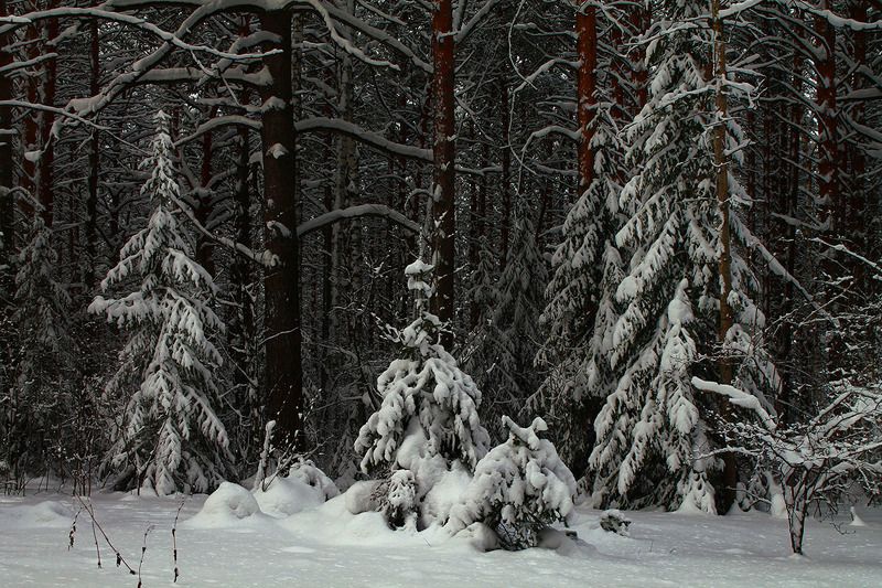 зима, сибирь, россия .. фото превью