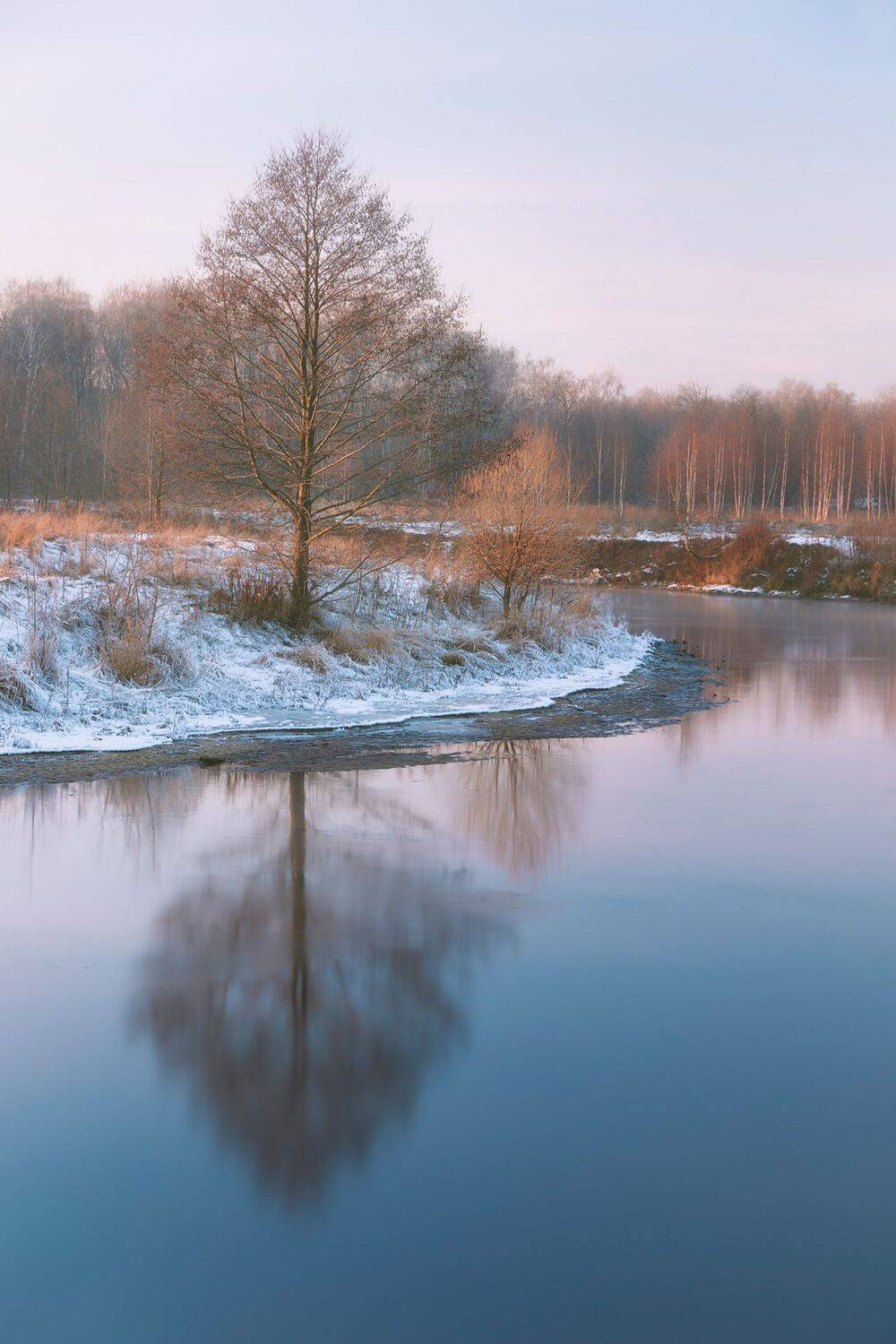 дерево, река, холод, зима, лес, Валерий Вождаев