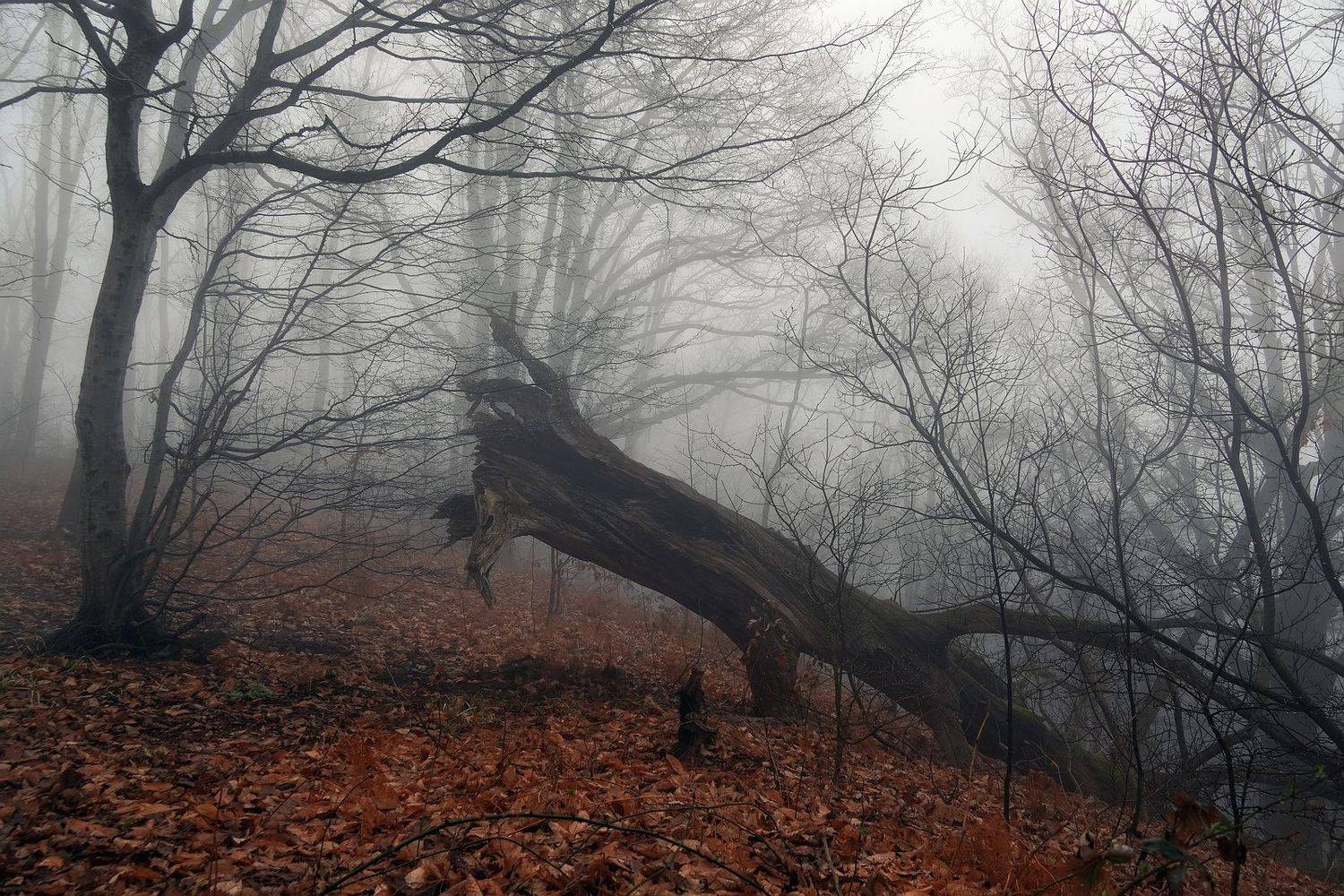 , Васин Сергей