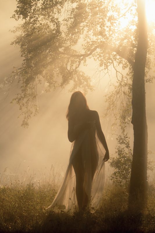 За занавесом тумана фото превью