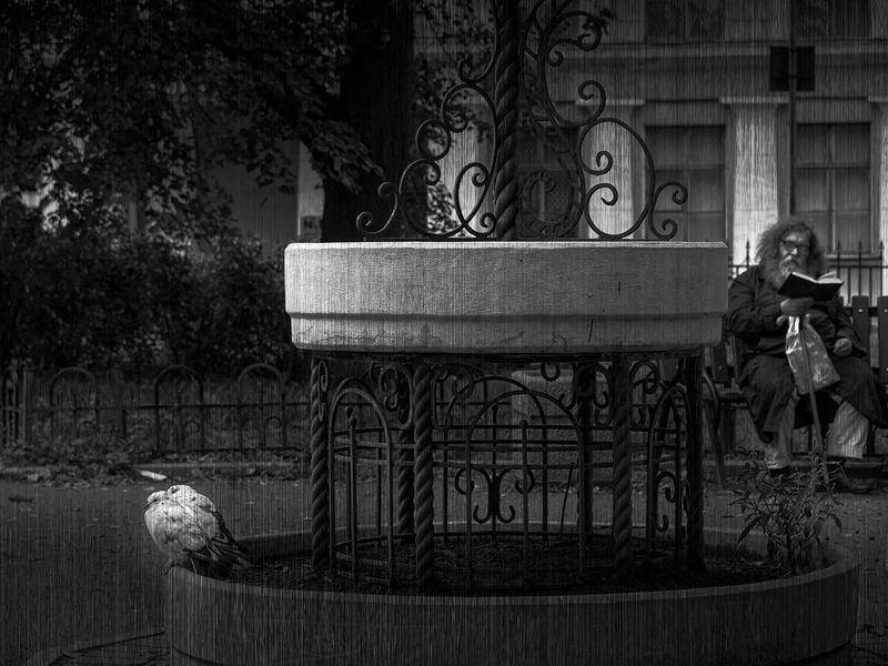 Последний из могикан фото превью