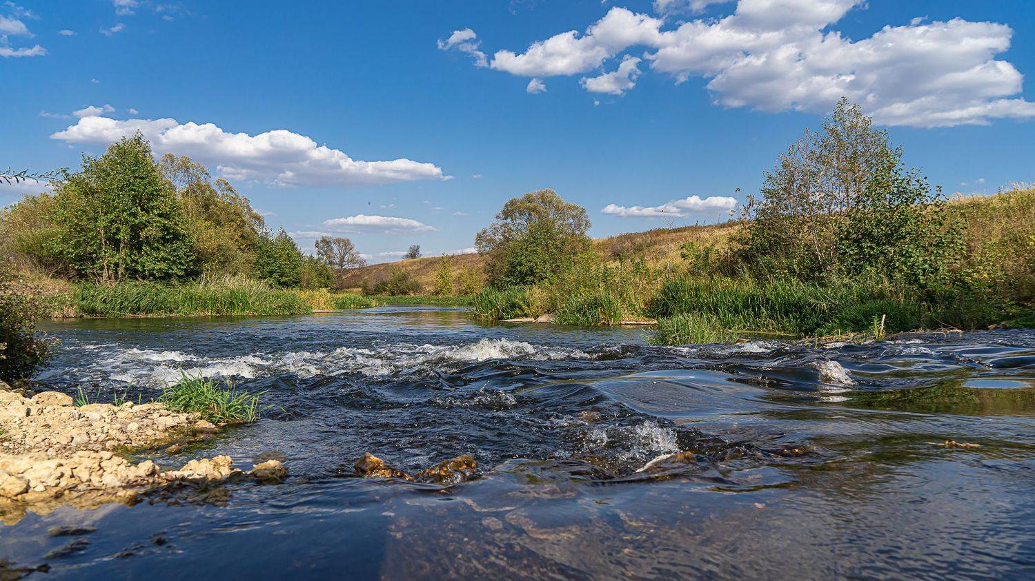 река кшень, пейзаж,, Николай Бологов
