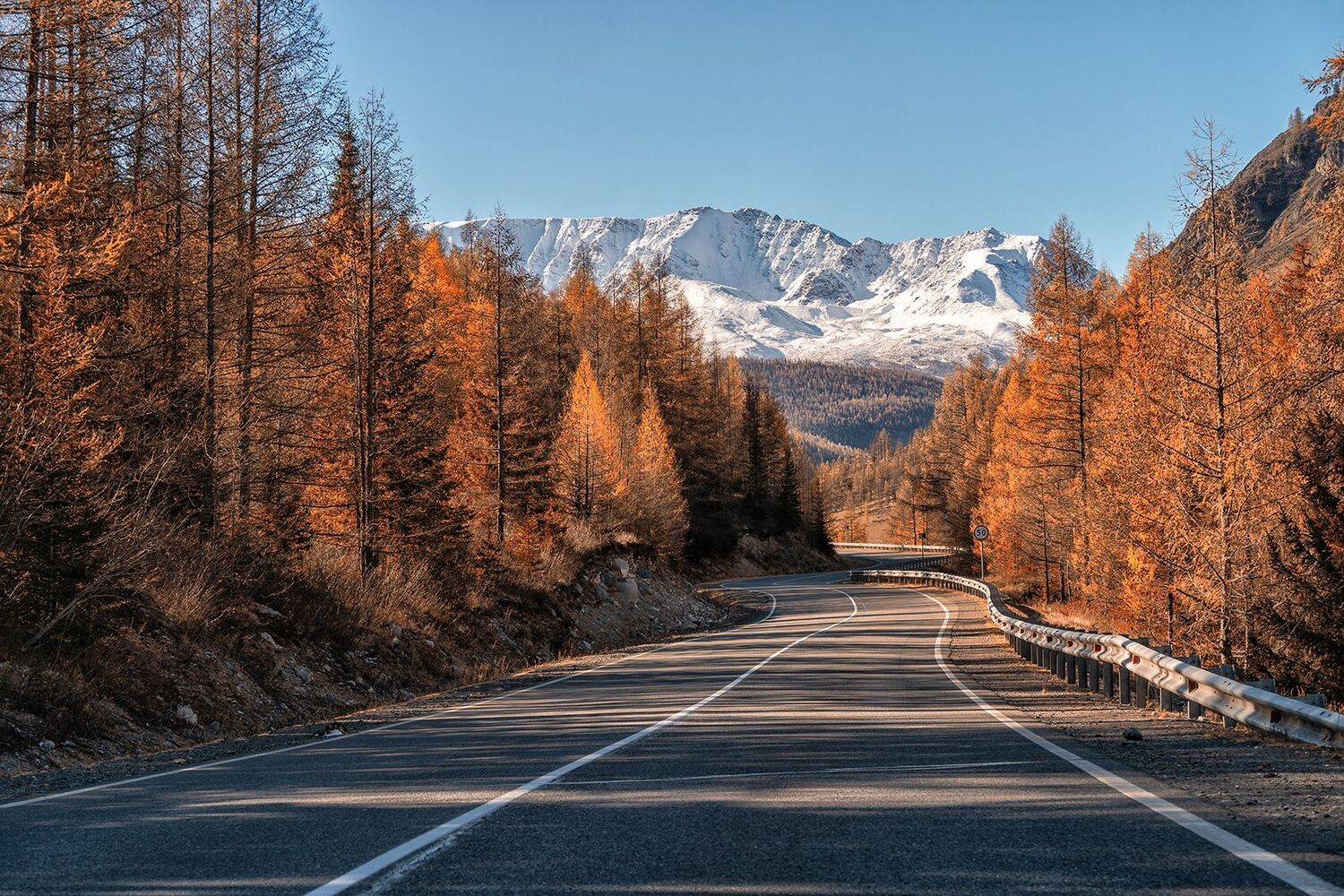 , Лариса Николаевна Дука