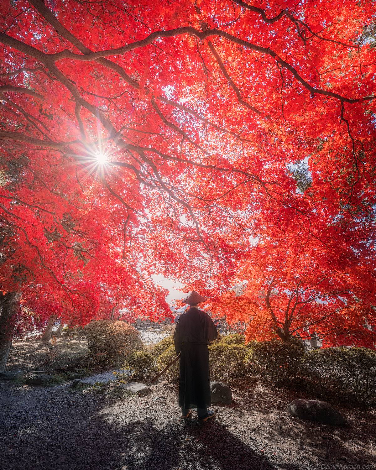 , Даниил Коржонов