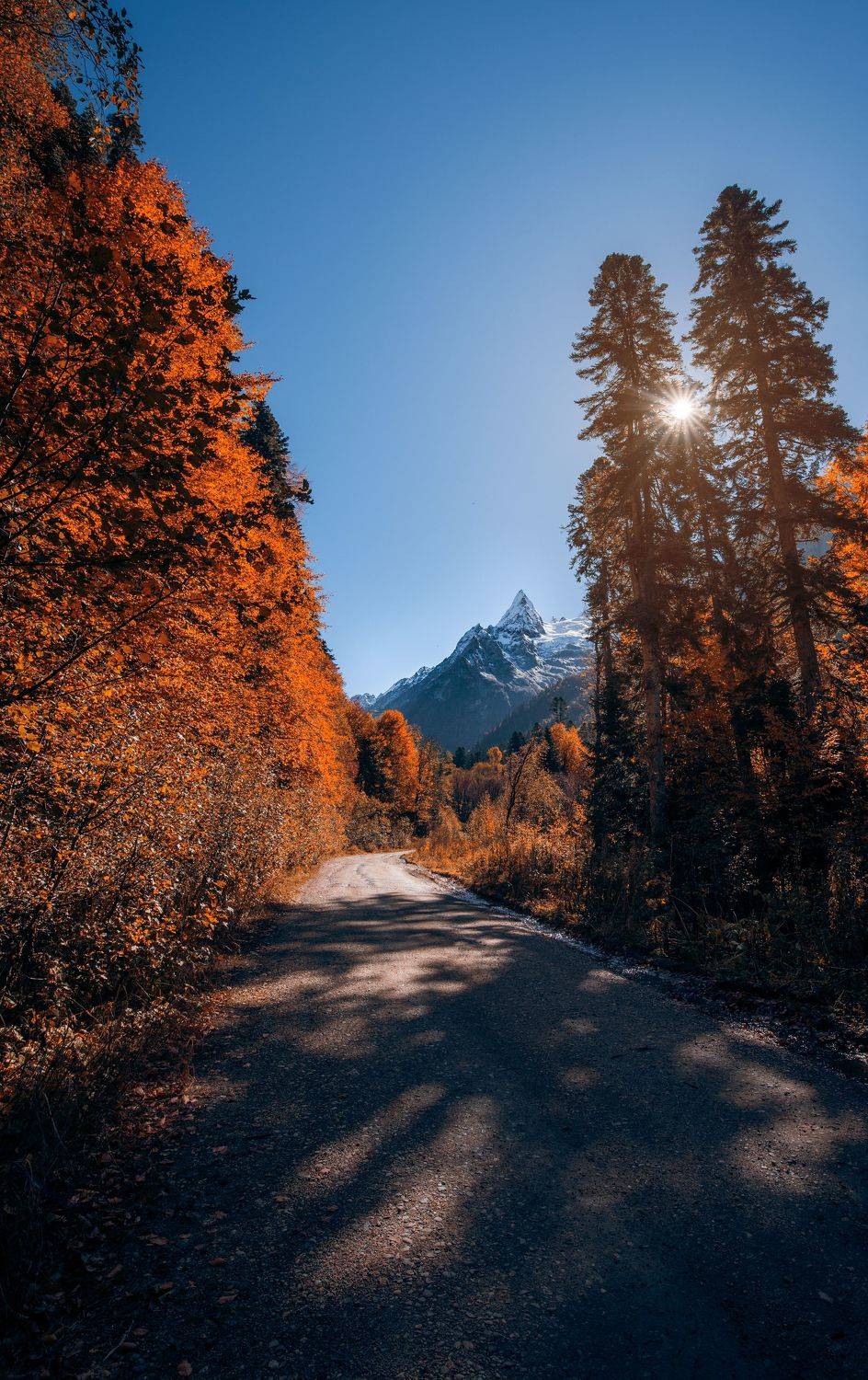 , Дмитрий Величко