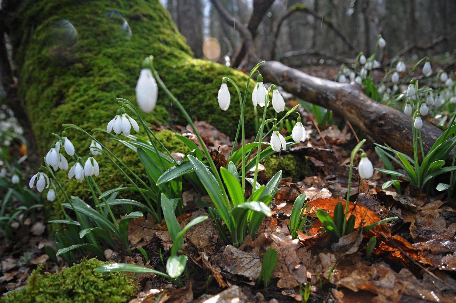 , Дарья Васильева