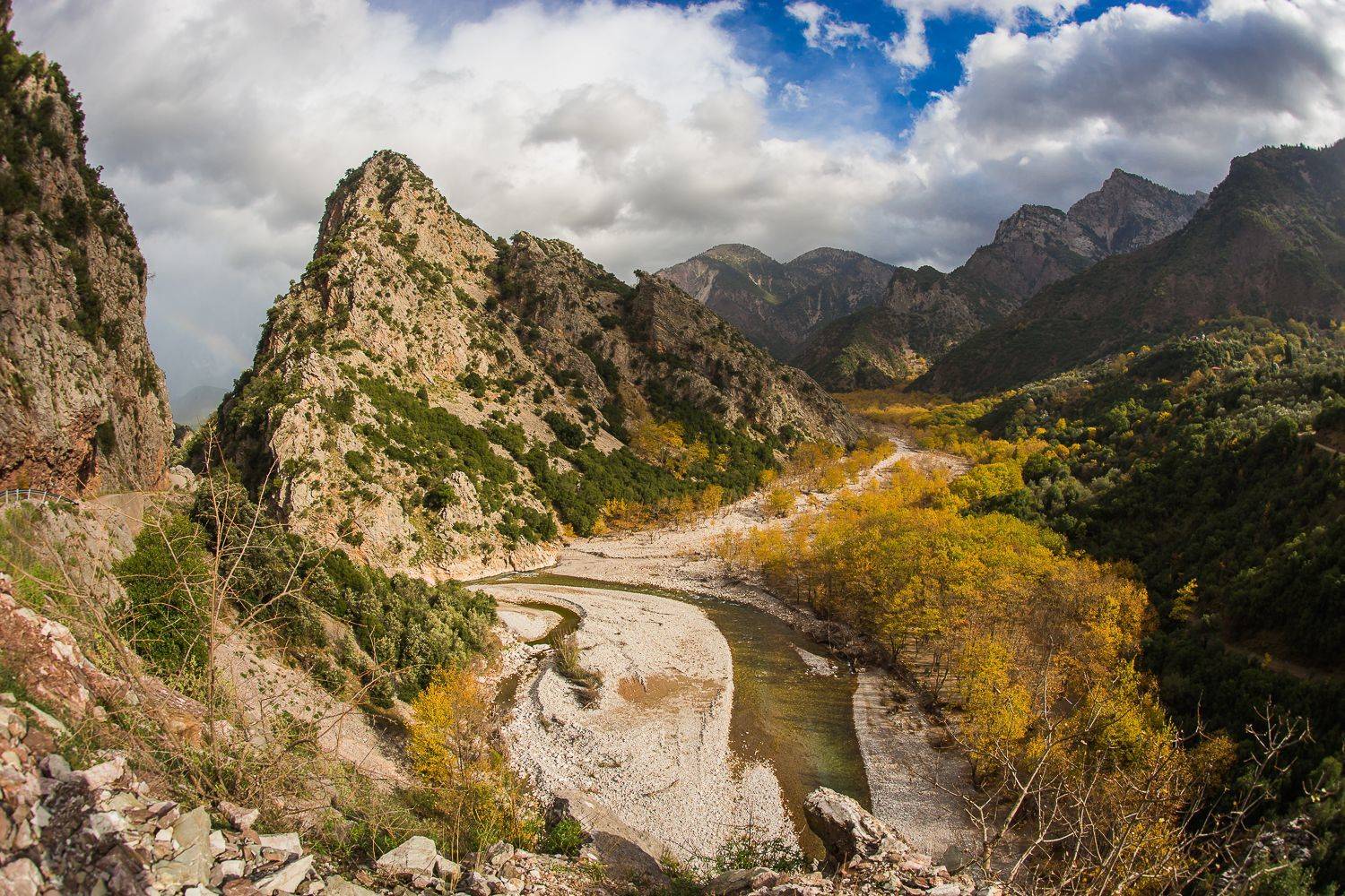 , Максимова Дария