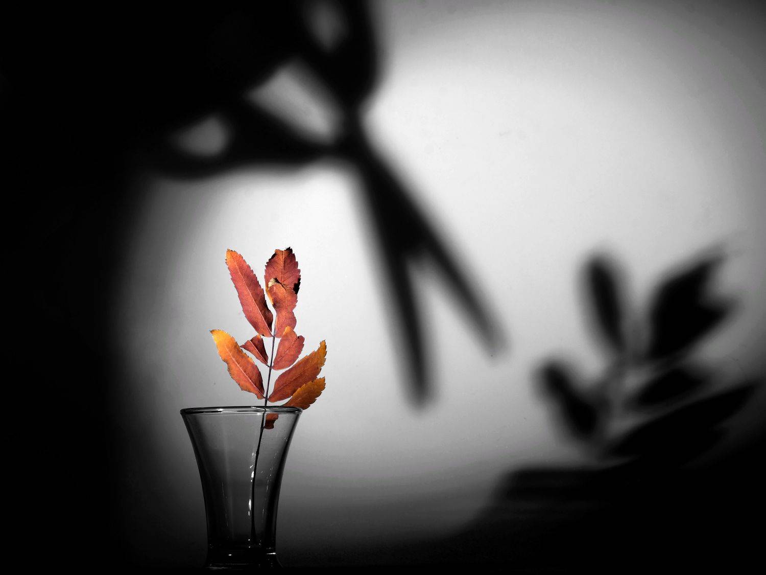 , Тим Мартынов